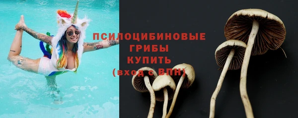 индика Осинники