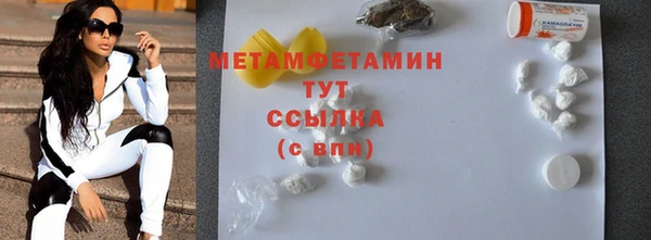 индика Осинники
