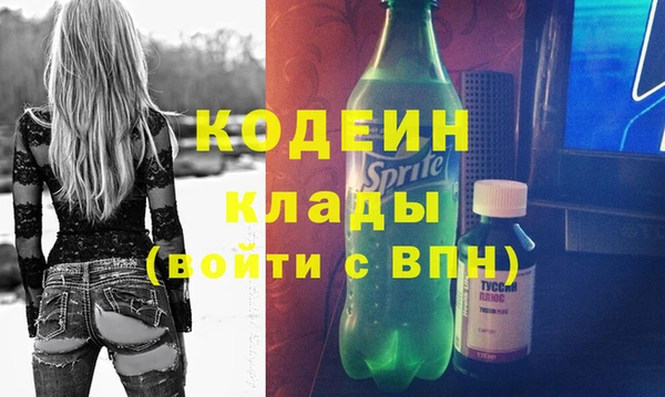 индика Осинники