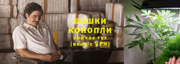 индика Осинники