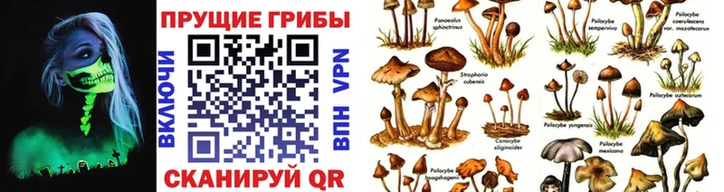 Галлюциногенные грибы мухоморы  mega   Белоярский  купить закладку 